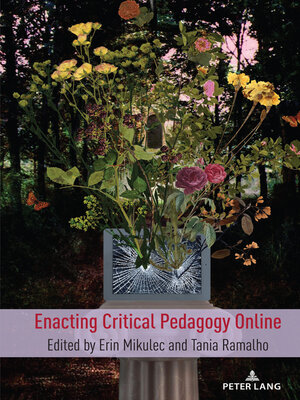 cover image of Enacting Critical Pedagogy Online